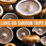 how long do shroom trips last